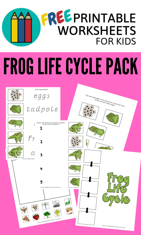 This Frog Life Cycle worksheet pack contains 3 spring printables that you can use in your classroom to teach students about the frog life cycle.