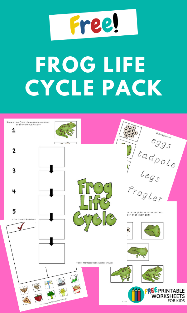 This Frog Life Cycle worksheet pack contains 3 spring printables that you can use in your classroom to teach students about the frog life cycle.