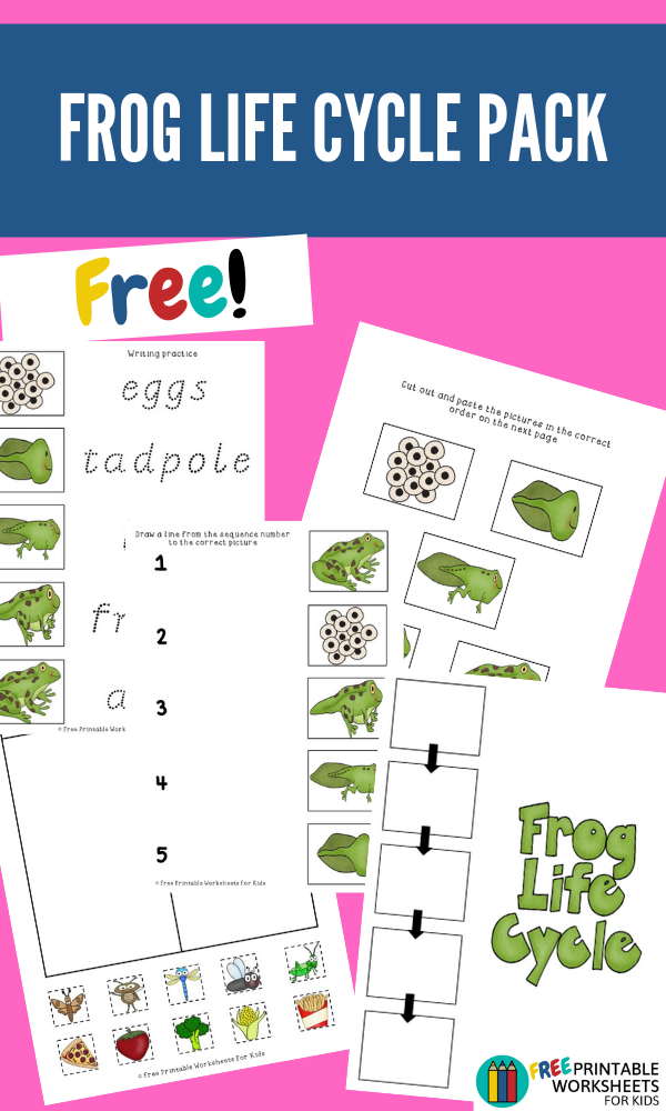 This Frog Life Cycle worksheet pack contains 3 spring printables that you can use in your classroom to teach students about the frog life cycle.