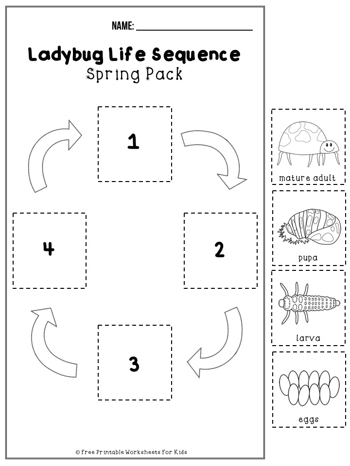 50 pages of free Spring themed printable worksheets for kids. Includes a variety of literacy, math and fine motor activities. Bring on the flower, frog and flying bugs fun!