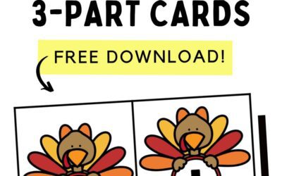 Turkey Number Words 1 to 20 (3 Part Cards)